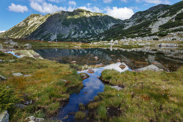 Fototapeta na wymiar Alpine Lake in a sunny summer day. Retezat Mountains National Park - Transylvania