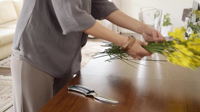 Crop view of woman arranging yellow blossom gorse at home
