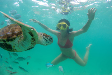 Obraz na płótnie Canvas beautiful girl dives with wild turtles in the clear ocean near the island of Mauritius