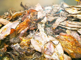 Dried fish display on seafood market in Malaysia