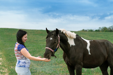 A woman feeds a horse from her hands. A woman pulls her hands to the horse. The woman and the horse