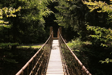 Hängebrücke über einem kleinen Tal am Rothaarsteig im Hochsauerland
