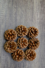 Fresh dry pinecone flower on wooden