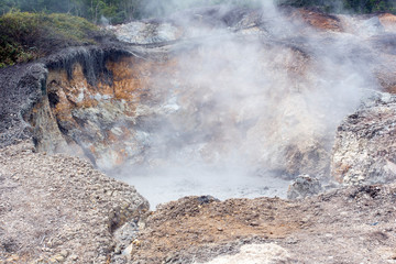 The geothermal activity at park in north Sulawesi