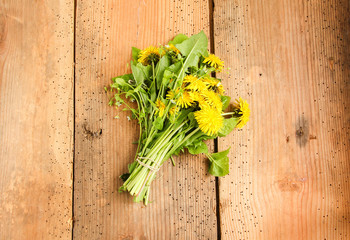 Butterblume Löwenzahn Wildkräuter Salat 