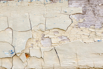 Fragment of old white paint with blue inclusions and cracks