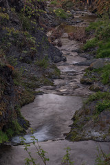 Lomna river in Trojanovice village in spring hot day