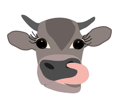 head of a gray-brown cow with big eyes and tongue sticking out on a white background