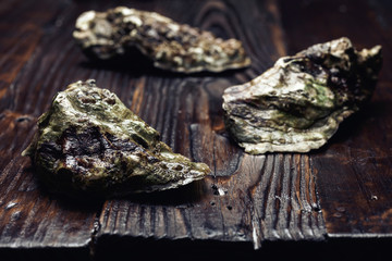 Raw oyster with closed shells on wooden table. Close-up. Selective focus.