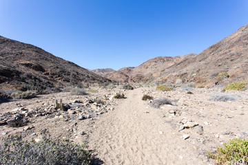 A walk in pan de azucar national park