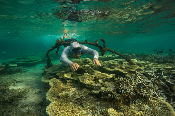 A young man dives among the multicolored corals in the Indian Ocean. Snorkeling in Mauritius