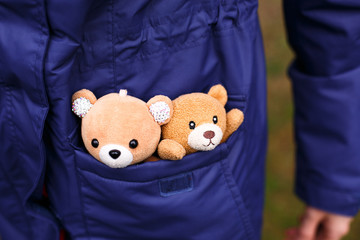 A couple of Teddy bears in love in the pocket of a girl in a blue jacket. Romance, bears boy and girl. Walk with your favorite toys.