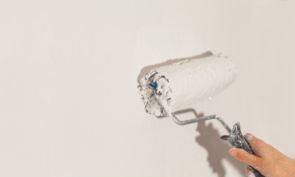 Human hand with large roller of paint begins to paint a white wall handicraft master painter training contrast color sample color test tool renovation white craftsman do it yourself