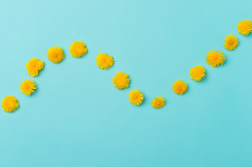 Dandelion flowers on blue background top view