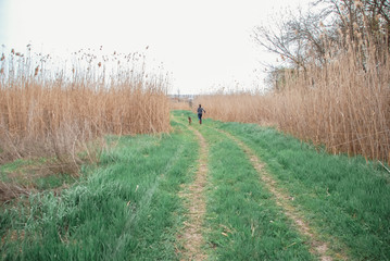 A girl and a German shepherd walking in a field. A woman and a dog walk along a road in the Park.