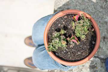 Blue jeans planter with hiking shoes,vintage garden decoration.