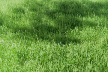 Natural blur pattern