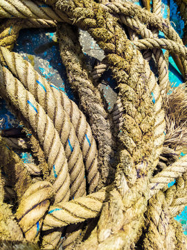 Fishman ship rope knots and turquios blue wooden background. Aquamarine and knitted knots.