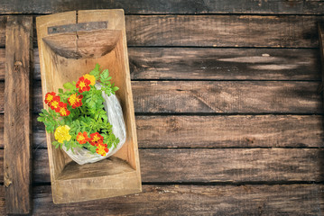 A blooming flowers in old trough on garden table background.