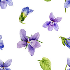 Fototapeta na wymiar Seamless pattern. Watercolor flowers of wild violets and buds with leaves on a white background.