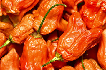 Capsicum Baccatum Chilli also known as Christmas bell texture