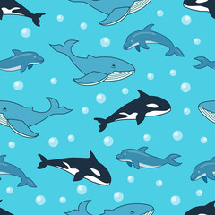 Seamless sea animals pattern with ocean mammals blue whale, killer whale, dolphins. Sea mammals pattern design