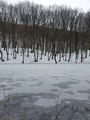 Ice on the lake in the forest