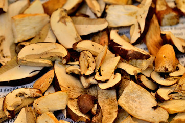 Chopped mushrooms ready for drying. Close-up.