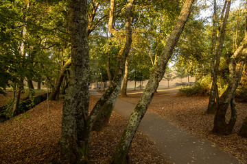 Parque vazio