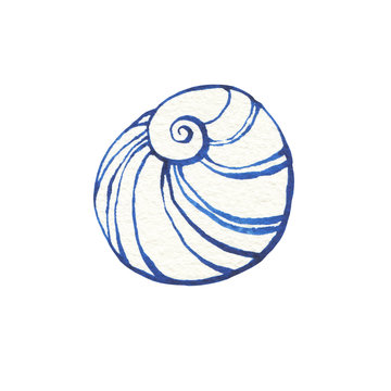 recommend clip art: Illustrations of underwater life objects - blue sea shell, marine design. Watercolor hand drawn painting illustration isolated on white background.