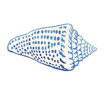 recommend clip art: Illustrations of underwater life objects - blue sea shell, marine design. Watercolor hand drawn painting illustration isolated on white background.