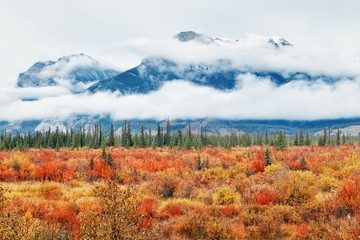 Jasper National Park Canada