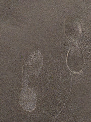 footprint in sand