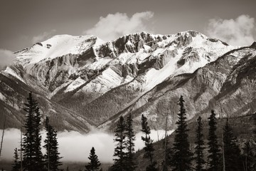 Jasper National Park Canada