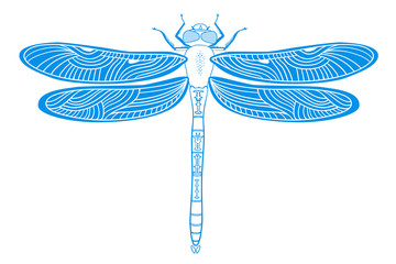 Hand drawn vector illustration of dragonfly. Stylization. Blue silhouette of insect.