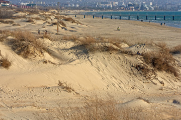 sand dunes on the beach