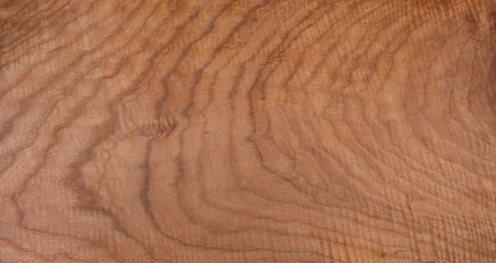 Fototapeta na wymiar Empty cutting Board, Ash. Wood