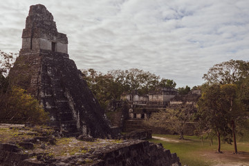 Fototapeta na wymiar Tikal jungle
