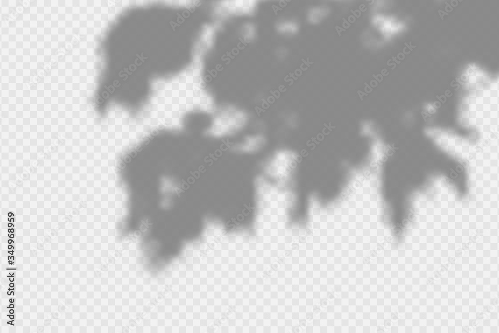 Poster shadow overlay effect. transparent overlay shadow from leaves, branches, plant and foliage. realisti