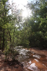 Providence Canyon State Park, Georgia (USA)