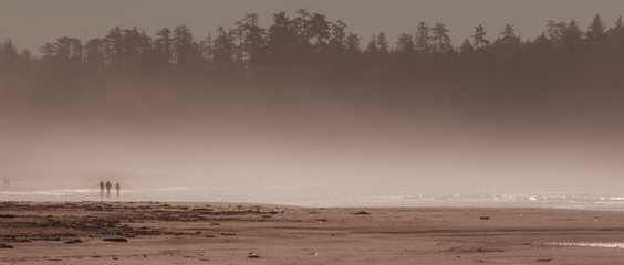 Naklejka premium Surfer auf Vancouver Island