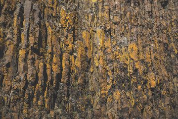 Yellow Mountain Wall