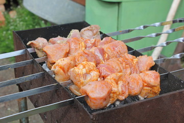 meat on the grill