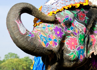 Painted Indian elephant example