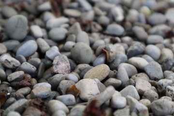 Stones and pebbles