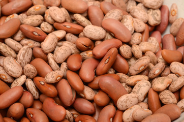 PINTO BEANS/LIGHT RED BEANS/BLACK BEANS