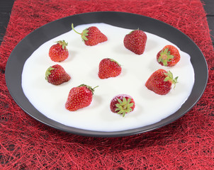 Strawberry berries with yogurt, in a black plate. Domestic milk, on a red background. Useful milk-fruit food, for a veggie.