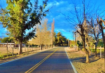 CAMINO, PAISAJE, ARBOLES, CIELO AZUL