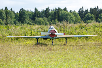 Double plane stands on green grass against the background of trees on a sunny summer day