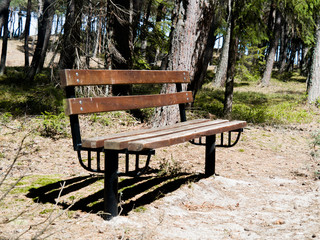 ławka w lesie, droga nad morze